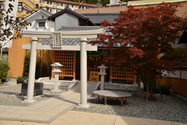 ������_��