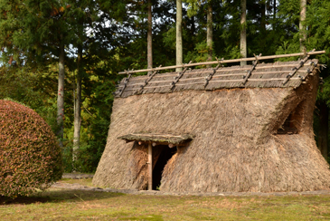 �ꕶ����̏Z��