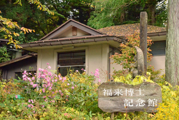 �������m�L�O��