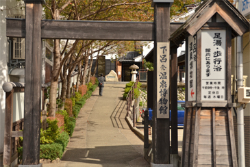 ���򔎕���