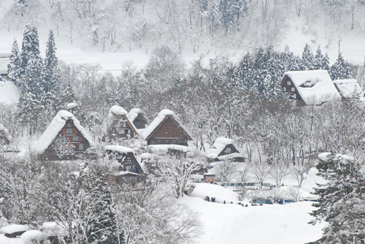 ���R�w��