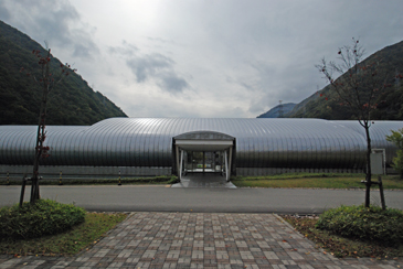 ��������Ɖ�