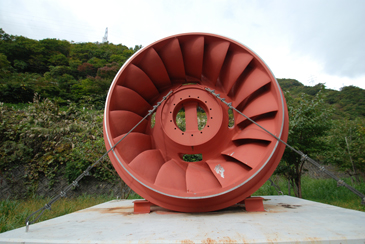 ���Ԃ̉H��