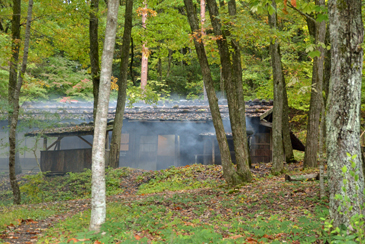 �� �� �M ��