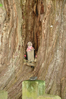 イチョウの木とお地蔵様