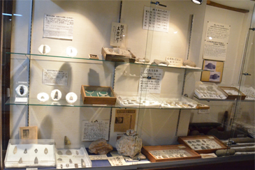 �W���i�i�Ί�A�y��ށj