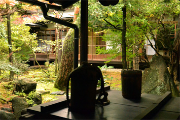 中庭を望む