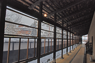 �����i�W�����j����