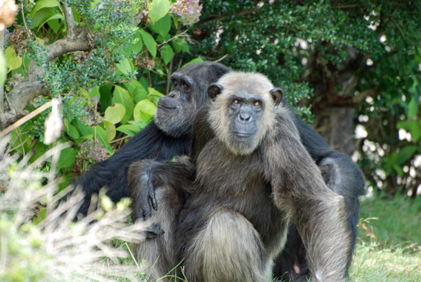 ���{�����L�[�p�[�N