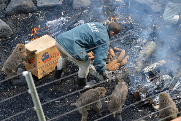 ���{�����L�[�p�[�N