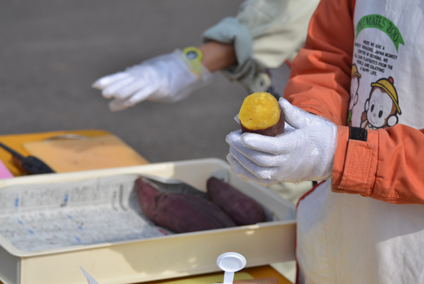 ���{�����L�[�p�[�N