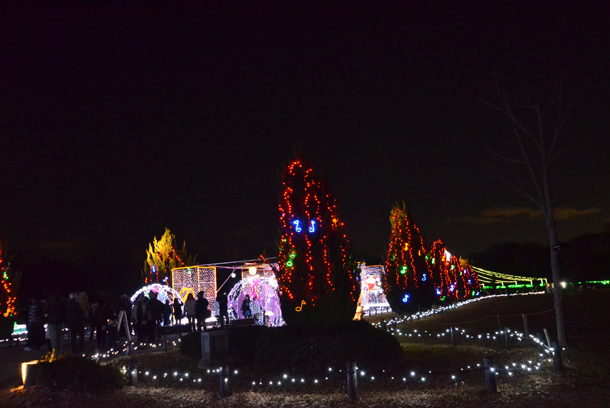 �^���[�p�[�N