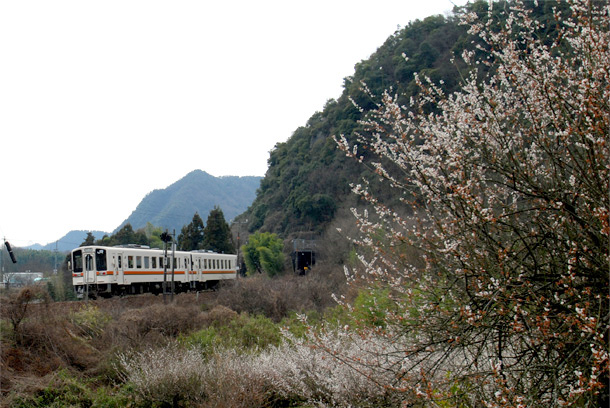 ���Z�H���