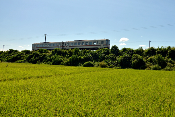 ���Z�H���