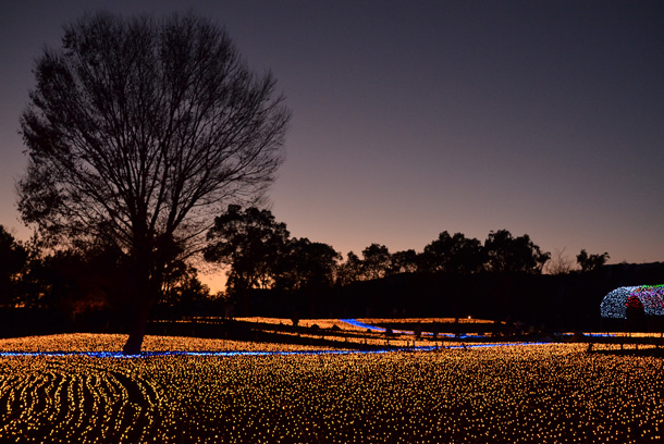 �C���~�l�[�V����