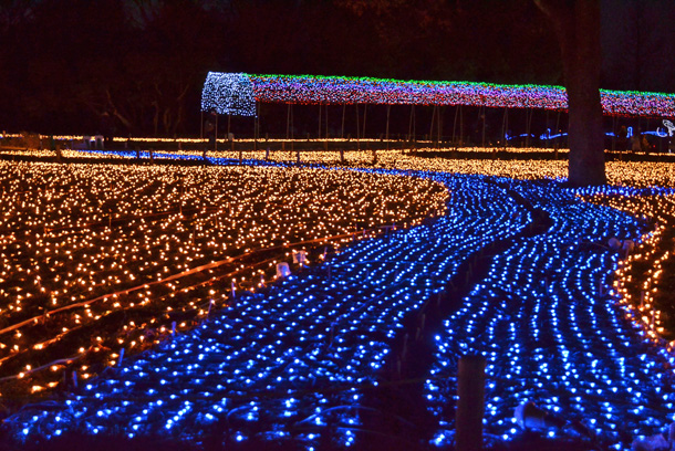 �C���~�l�[�V����