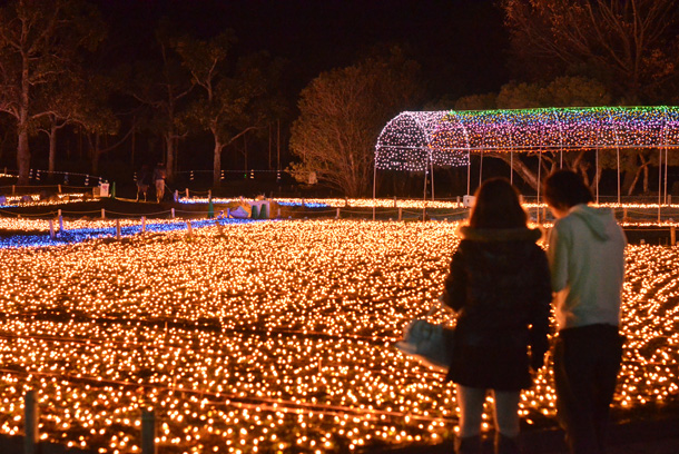 �C���~�l�[�V����