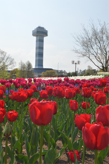 �`���[���b�v