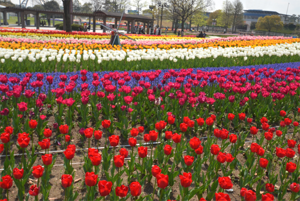 �`���[���b�v