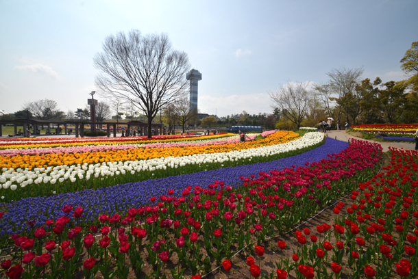 �`���[���b�v