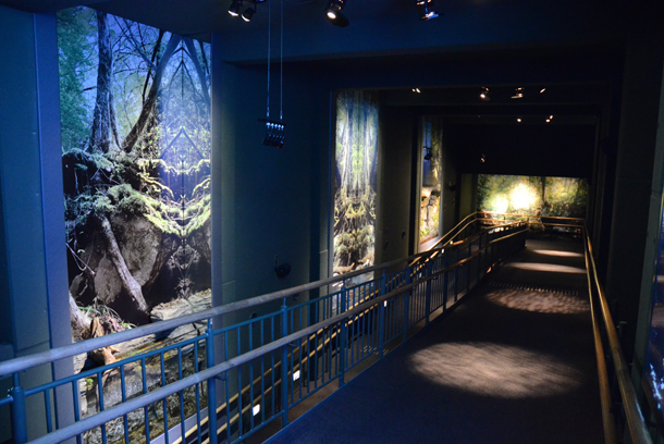 �����т̃p�l��