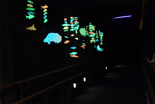 ���[�r��