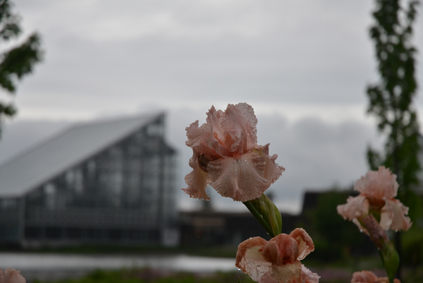 �x�R�����A����