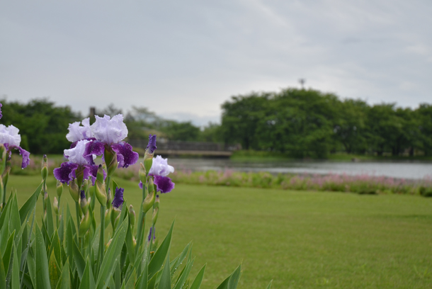 �x�R�����A����