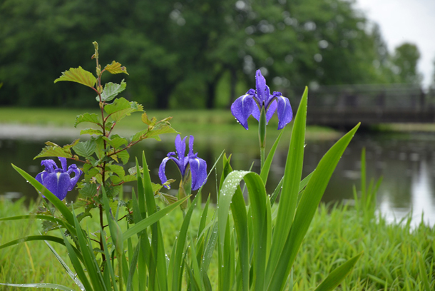 �x�R�����A����