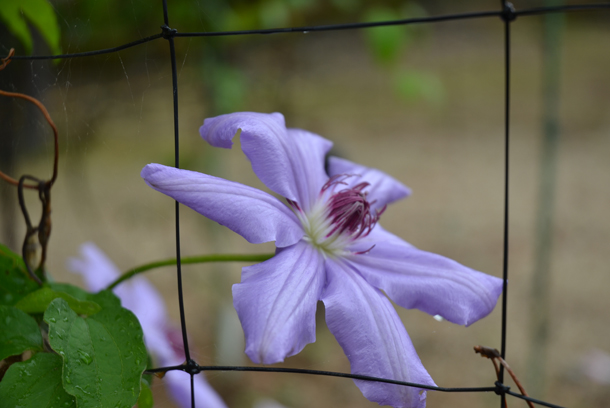 �x�R�����A����