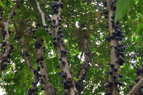 �x�R�����A����