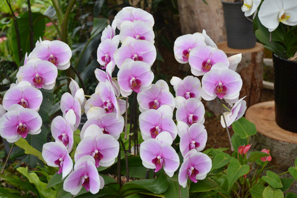 �x�R�����A����