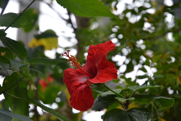 �x�R�����A����