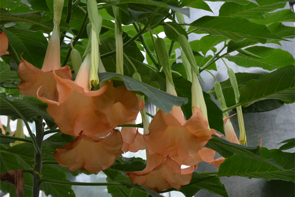 �x�R�����A����