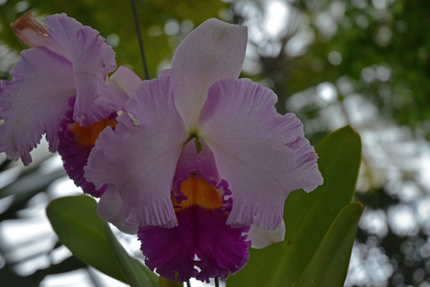 �x�R�����A����