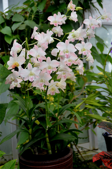 �x�R�����A����