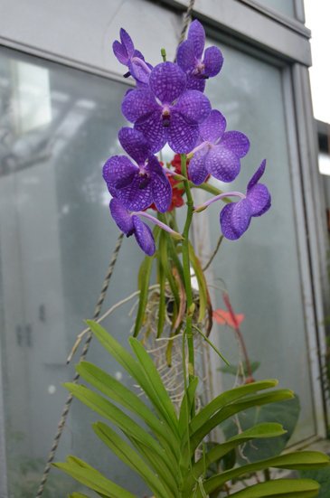 �x�R�����A����