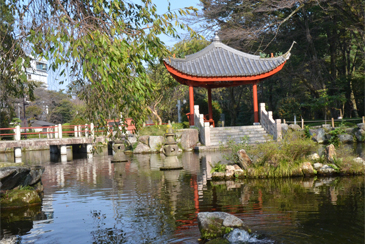 �������΂�͂����r