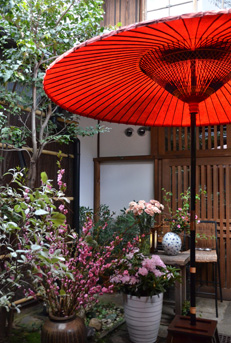 �J�t�F�@����