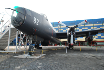 �ΐ������@