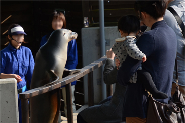 �A�V�J�V���[