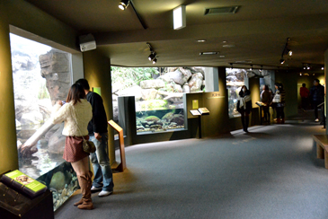 ���ǐ�㗬���璆����