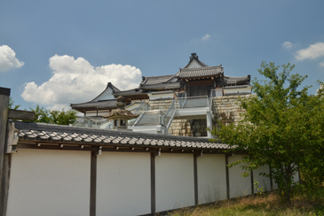 �����يO��