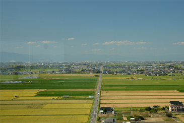 �g�Q���P�b�g�ł��グ�f��