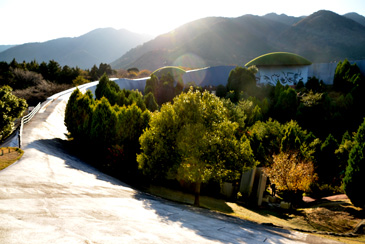 �ȉ~�`�t�B�[���h�̏���