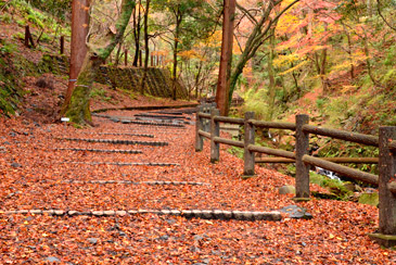 �����t���O�~��