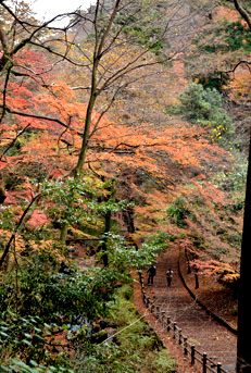 �g�t�̃g���l��