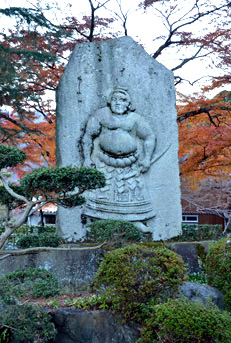 ���j �S�ʎR�@�Δ�