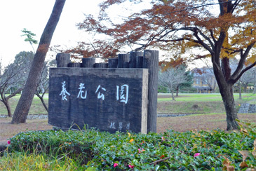 �{�V����