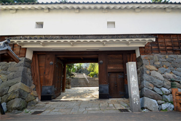 �� ������